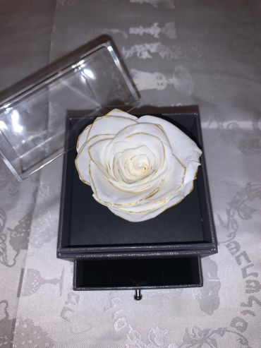 Forever Love Rose That Lasts/Year Individual White Gold Trim