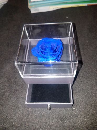 Forever Love Rose That Lasts Year Individual Unit Electric Blue