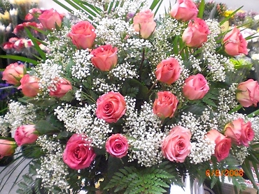 Rose Garden