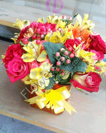 Blooms All Aglow