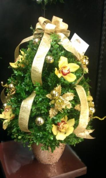 Golden Box Tree Bedazzled With Orchids