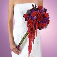 Dramatic Red Hanging Amaranthus Jewel Toned Bridal Bouquet
