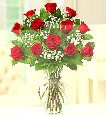 Rose Elegance Premium Long Stem Red Roses