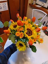 Sunflower Surprise