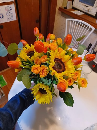 Sunflower Surprise