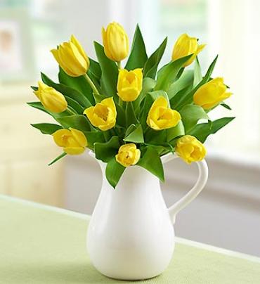 Yellow Tulips in Pitcher