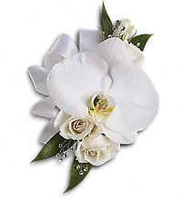 White Orchid and Rose Corsage