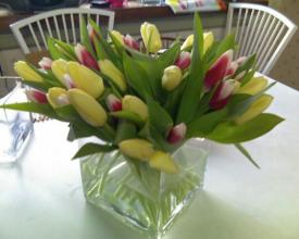 Classic Tulips in Cubed Clear Vase