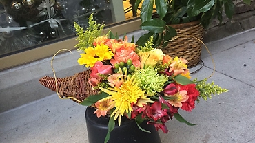 Crazy Cornucopia