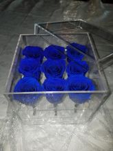 Forever Love Rose That Lasts A Year Acrylic Box Electric Blue