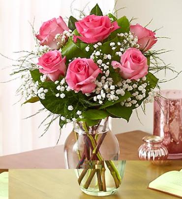 Love\'s Embrace Pink Roses