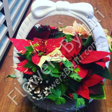 Ceramic Poinsettias Basket