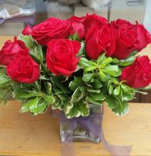 Perfect Red Roses