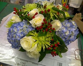 Hydrangea Glory