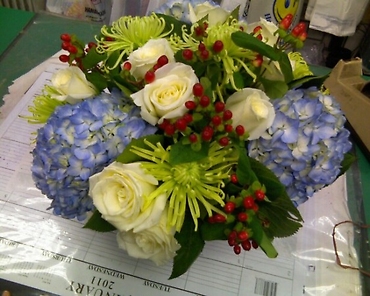 Hydrangea Glory