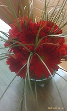 Elegant Red Gerber Daisies With Dainty Bear Grass Delivered to T