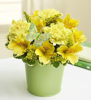 Garden Bouquet Yellow