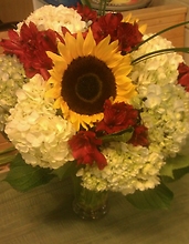 Hydrangea Spectacular Delivered to Edgewater, NJ