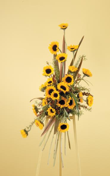 Special Sunflowers