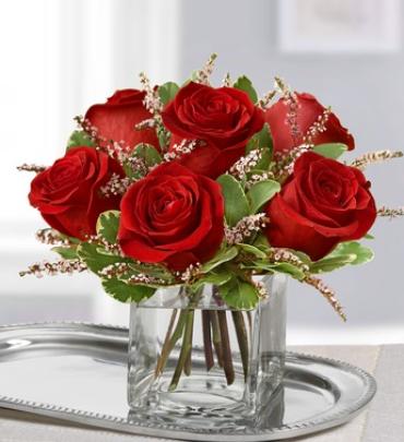 Romance Roses