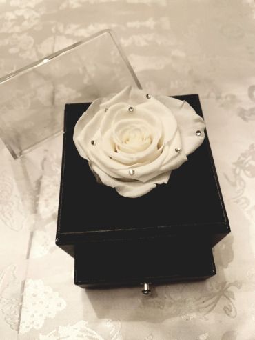 Forever Love Rose That Lasts A Year Individual White Diamonds