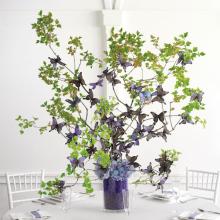Butterfly and Branch Centerpiece