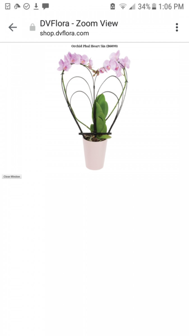 Pink Double Orchid Heart Shaped