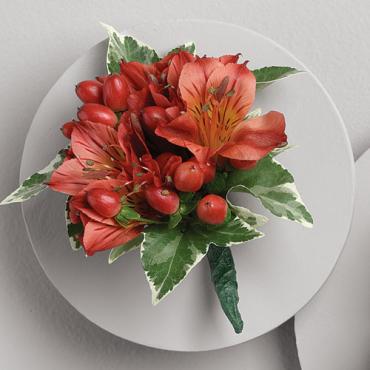 Red Alstroemeria and Berry Boutonniere