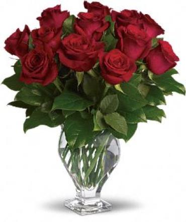 Rose Classique - Dozen Red Roses