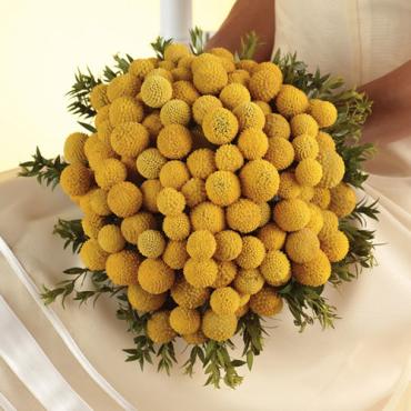 Craspedia Bouquet