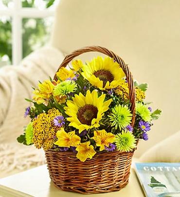 Fields of Europe Summer Basket