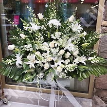 White Innocence Sympathy